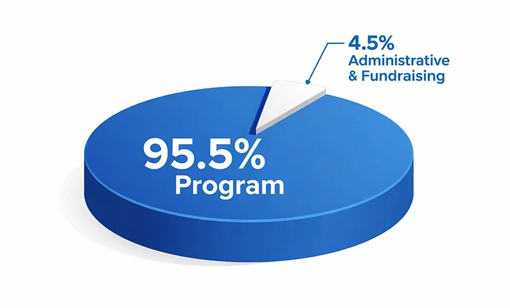 Fund distribution chart in 3D